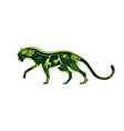 jaguar silhouette with rainforest nature jungle vector image vector image