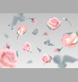 pinkr ose falling flowers and buds vector image vector image