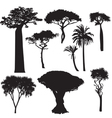 african tree silhouettes vector image