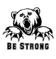angry bear head vector image