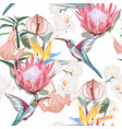 many kinds pink exotic tropical flowers vector image