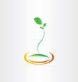 plant seed germination design vector image