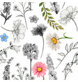 watercolor rustic wild flower pattern vector image vector image