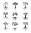 black shape tree with leaves and roots vector image vector image