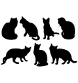 silhouettes of cats vector image