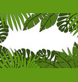 summer background vector image