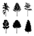 tree silhouettes vector image