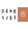 abstract botanical wall art contemporary vector image
