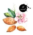 hand drawn watercolor painting on white background vector image vector image