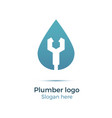 plumbing company logo vector image