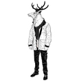 portrait of a hipster deer vector image