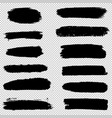 set brush strokescollection brush vector image vector image