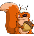 squirrel vector image