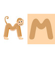 M is for monkey letter m monkey cute Royalty Free Vector