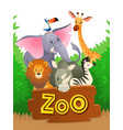 zoo animals african safari wildlife cute groups vector image vector image