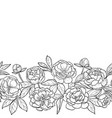 peonies seamless horizon border vector image