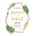 floral design card green fern forest leaves herb vector image