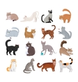 set of icons with cats flat design vector image vector image