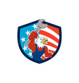 american bald eagle mechanic spanner circle usa vector image