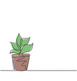 single continuous line drawing potted plants vector image vector image
