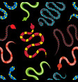 colored snakes pattern dangerous exotic snakes vector image vector image