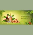realistic sandalwood poster vector image