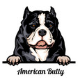 head american bully - dog breed color image vector image