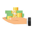 hand with money vector image
