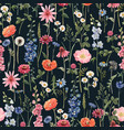 beautiful floral summer seamless pattern vector image