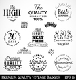 premium quality badges and labels in vintage style vector image
