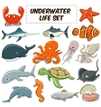 cartoon underwater animals set vector image