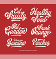 lettering set with script font vector image vector image