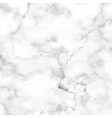 marble granite white texture background vector image