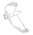eagle line art 03 vector image