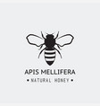 bee emblem logo vector image