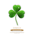 green shamrock on a white background vector image