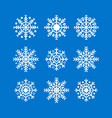 snowflakes new year and christmas decoration vector image vector image