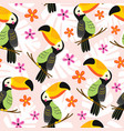 seamless pattern with toucan vector image