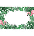 tropical border frame with jungle leaves flamingos vector image
