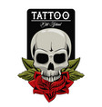 tattoo studio design vector image