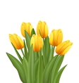 beautiful bouquet with yellow tulips flowers vector image