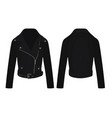 black leather jacket vector image