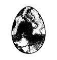 grunge isolated egg vector image vector image