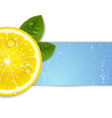 fresh lemon vector image vector image