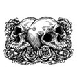 skulls wrapped in roses flowers and leaves vector image