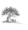 a bench under the tree park or garden wallpaper vector image vector image