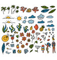 summer set design elements tropical leaves vector image