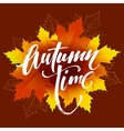 autumn time seasonal banner design fall leaf vector image vector image