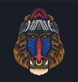 cool monkey mandrill head vector image vector image