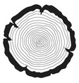 wood rings black linear cut monochrome log vector image vector image